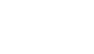 Georgia Pacific Holdings Corp