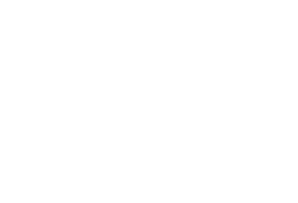North Town Homes