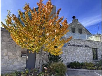 Westwood Village at Fox Hollow - Cambridge