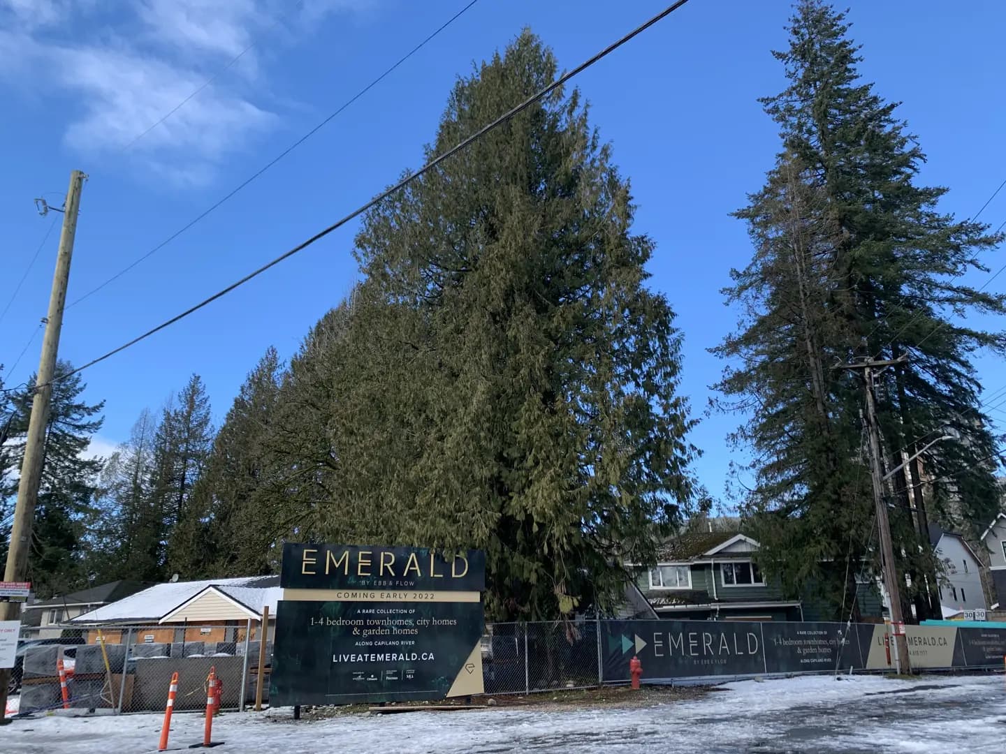 Emerald Condos - North Vancouver