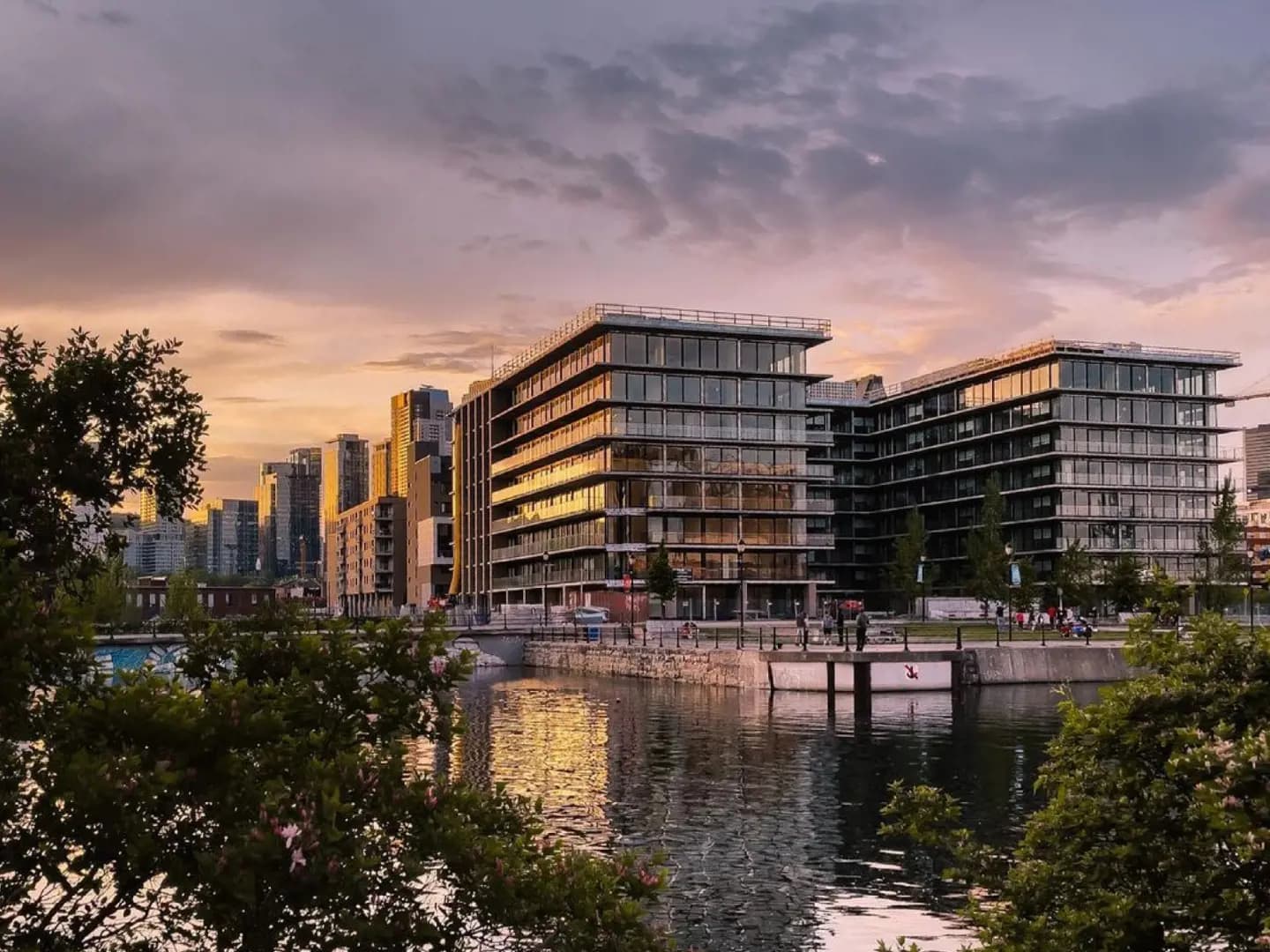 Charlotte Condos Société Condos - Main View