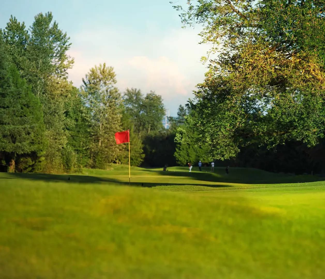 Park Langara Condos - View 6