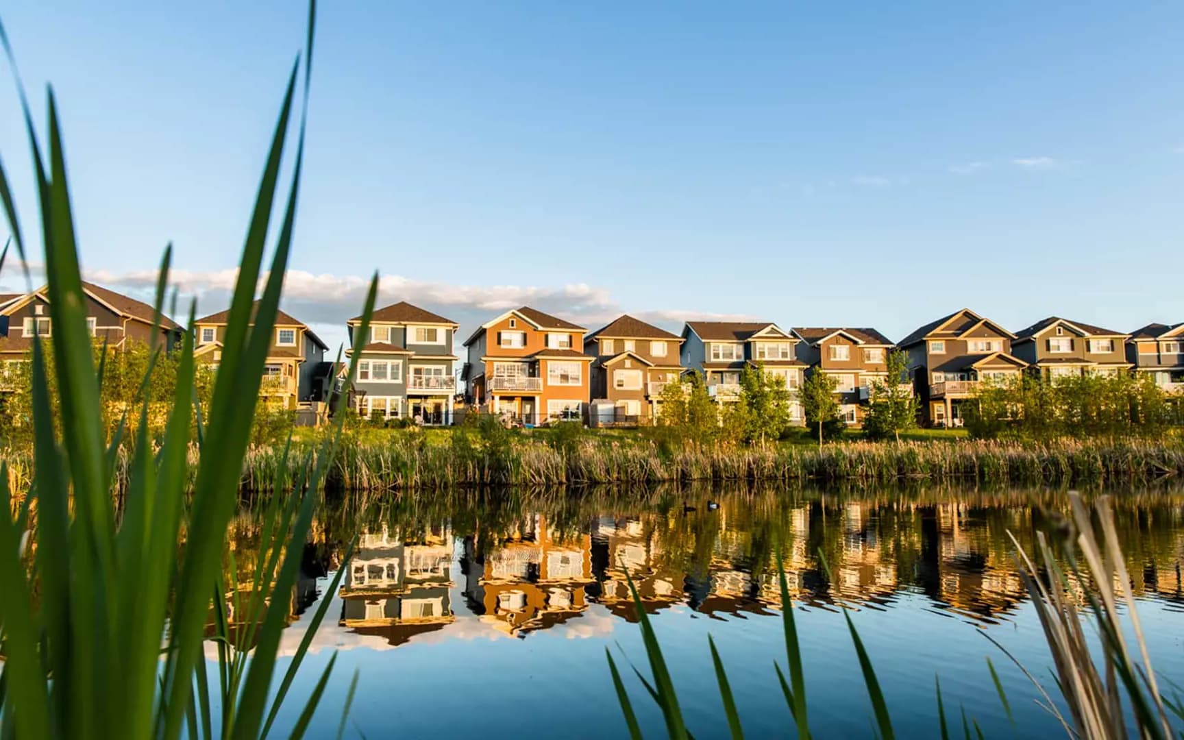 The Everly at The Orchards - Main View