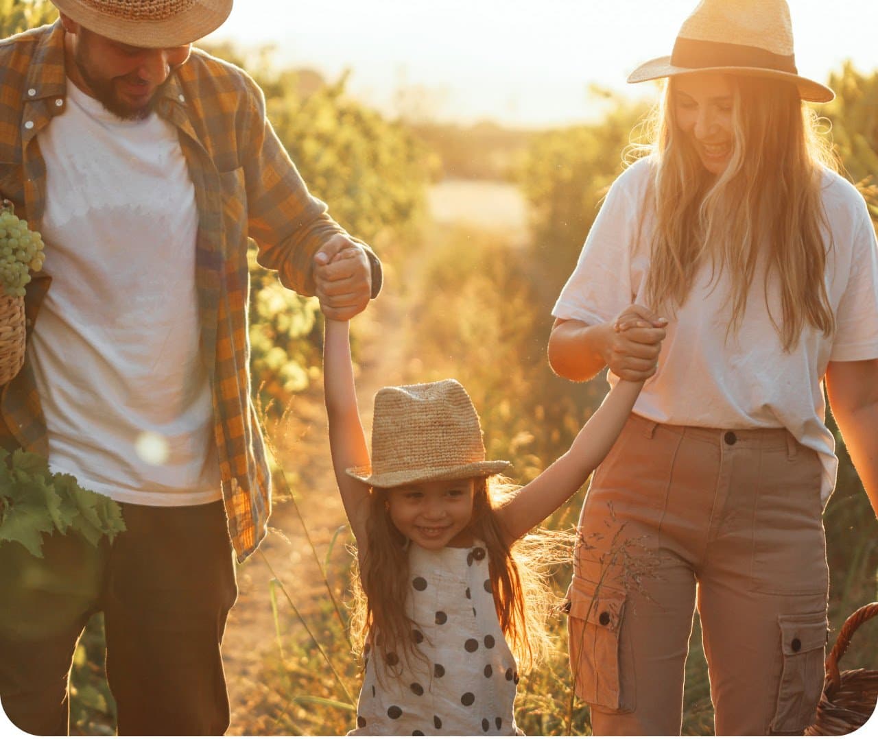 Stonerose Towns - View 2