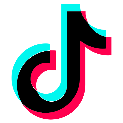 Tiktok Icon which links to homebaba twitter page